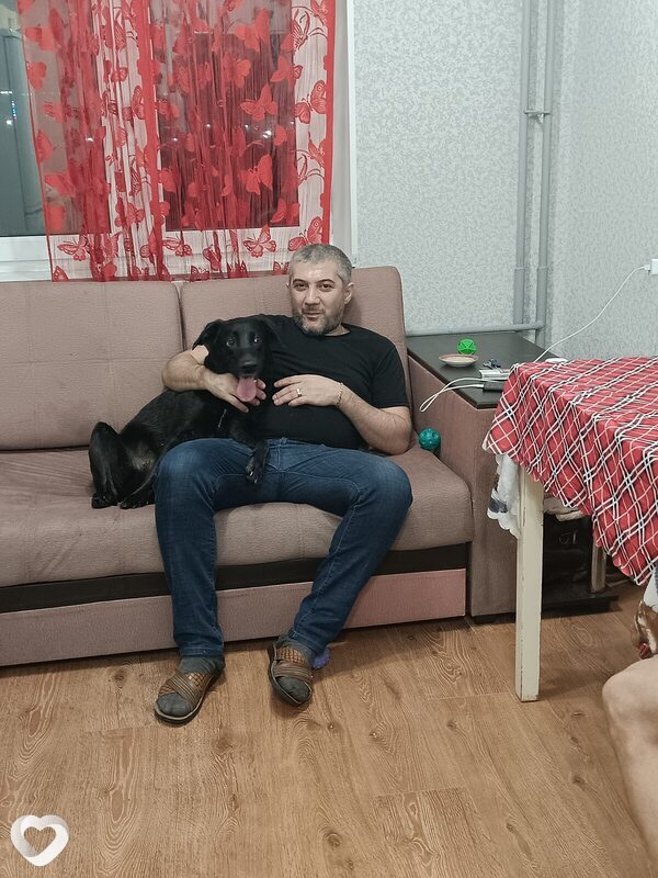 Миша, 40, Новосибирске — анкета №1184248
