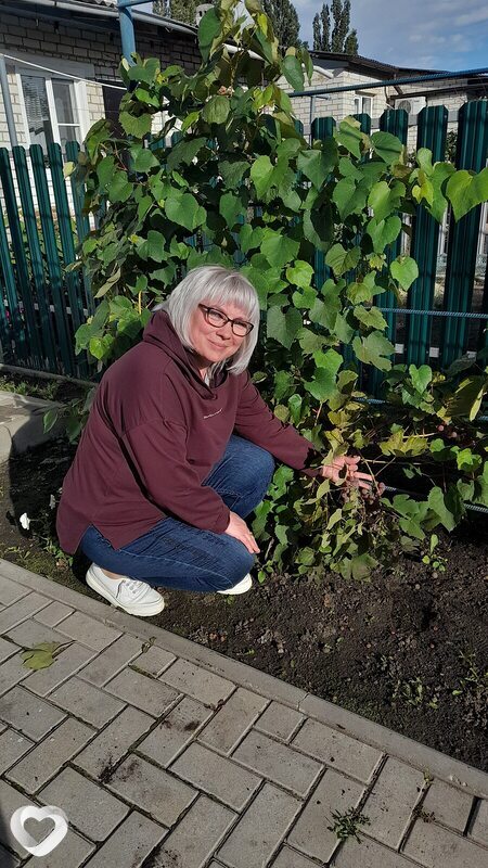 Елена, 56, Липецке — анкета №1185257