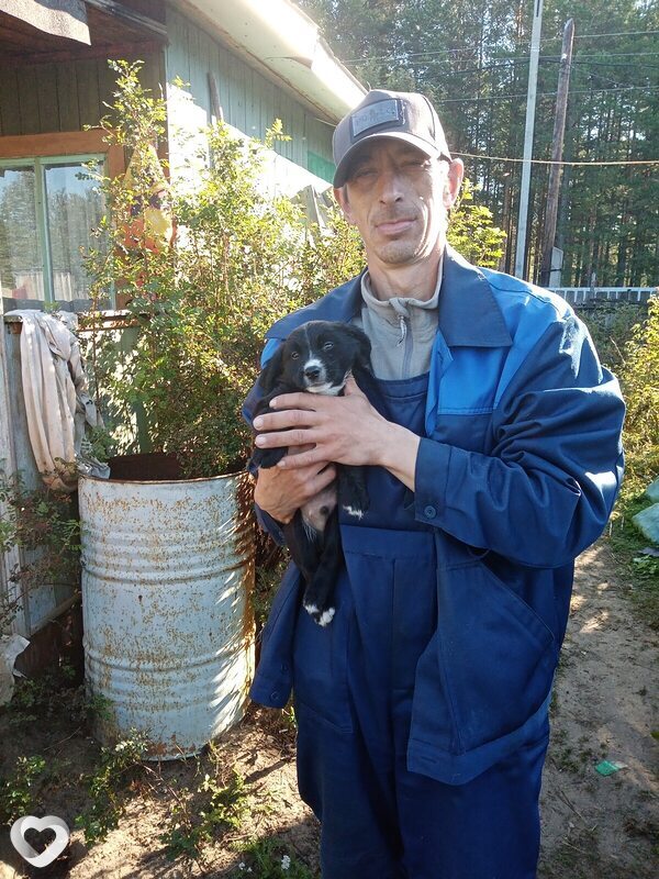 Сергей, 47, Урае — анкета №1186713