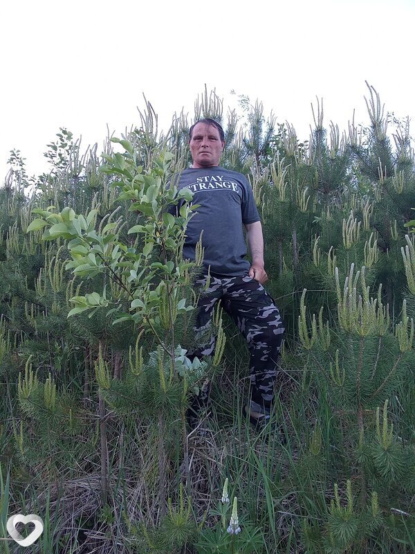 Владимир, Навля