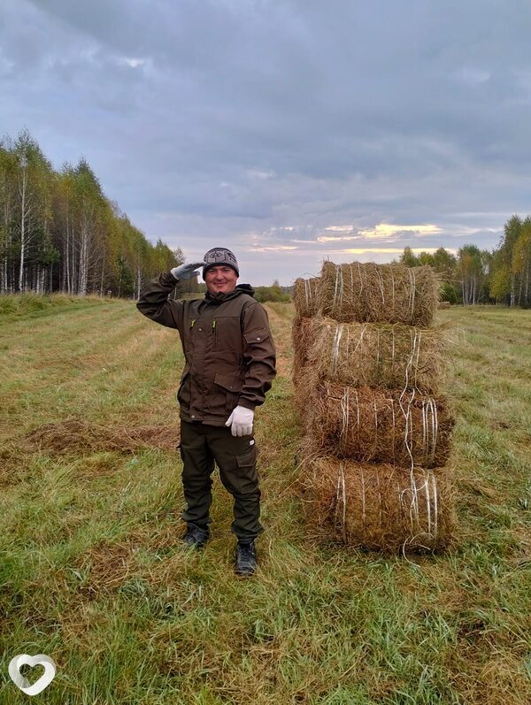 Роман, 33, Березовский (Свердловская обл) — анкета №1203749