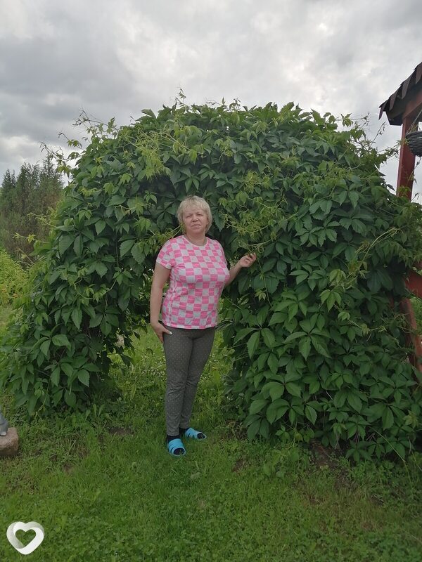 Марина, Фурманов