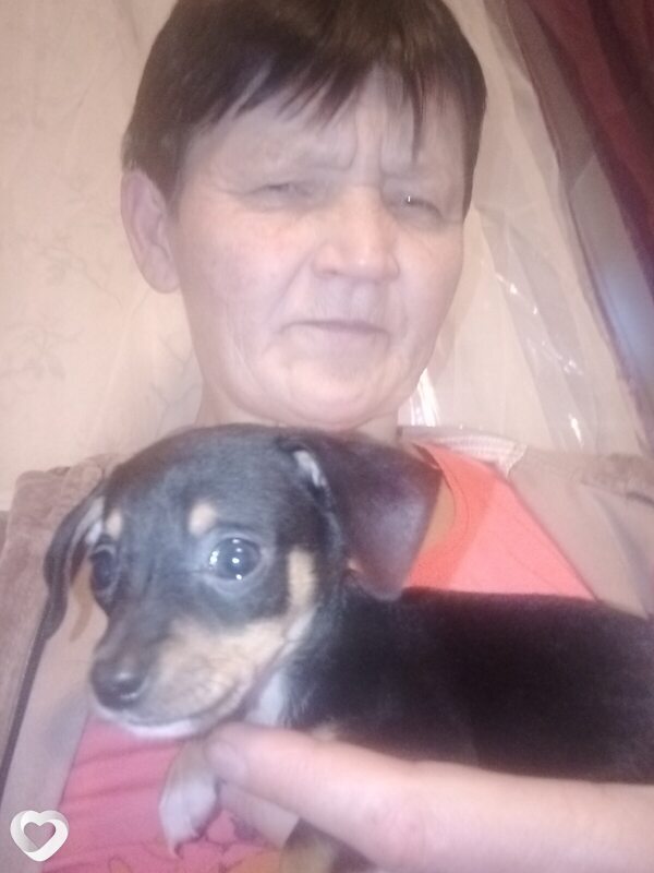 Наталья, 48, Тамбове — анкета №1205756