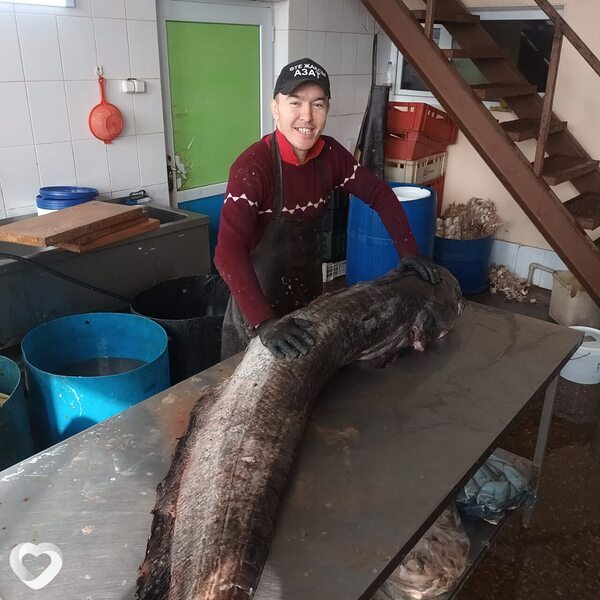 Азат, 36, Астане — анкета №1206029