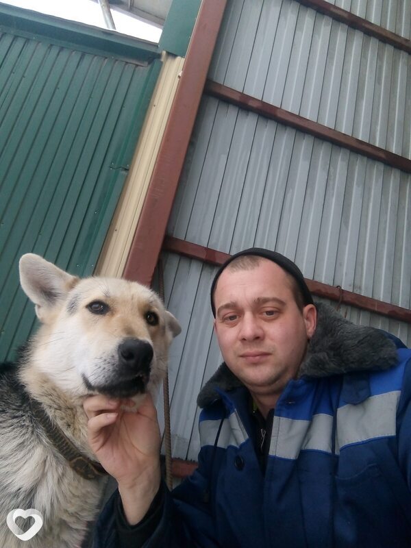 Леха, 37, Новом Осколе — анкета №1209710