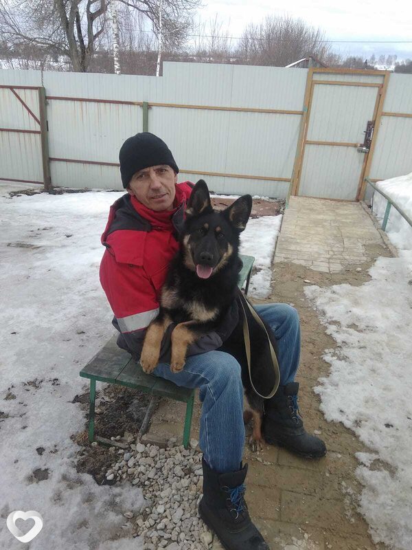 Александр, 49, Орёл — анкета №1210800