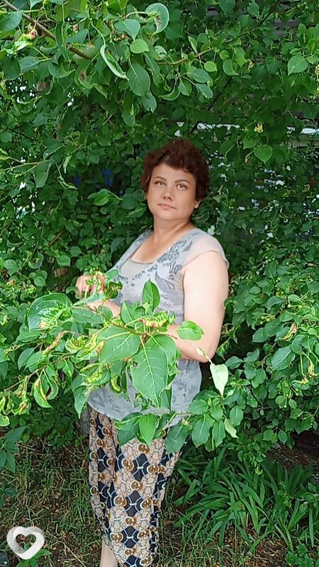 Евгения, Залари
