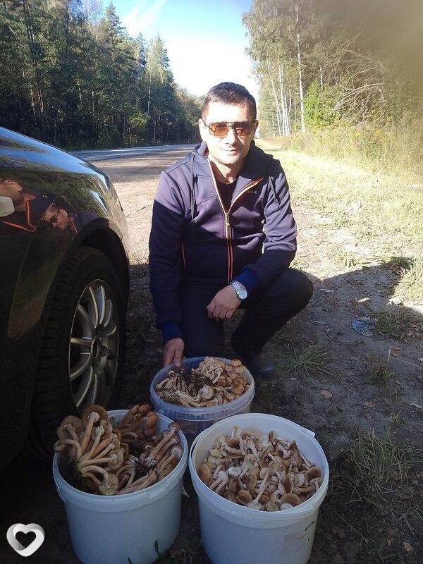 Александр, 52, Владимире — анкета №1217377