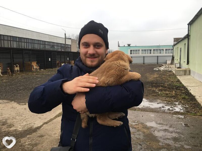 Кирилл, 33, Москве — анкета №1217516