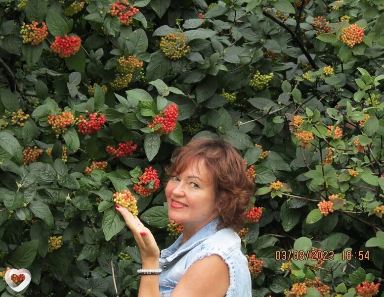 Татьяна, 57, Санкт-Петербурге — анкета №1221818