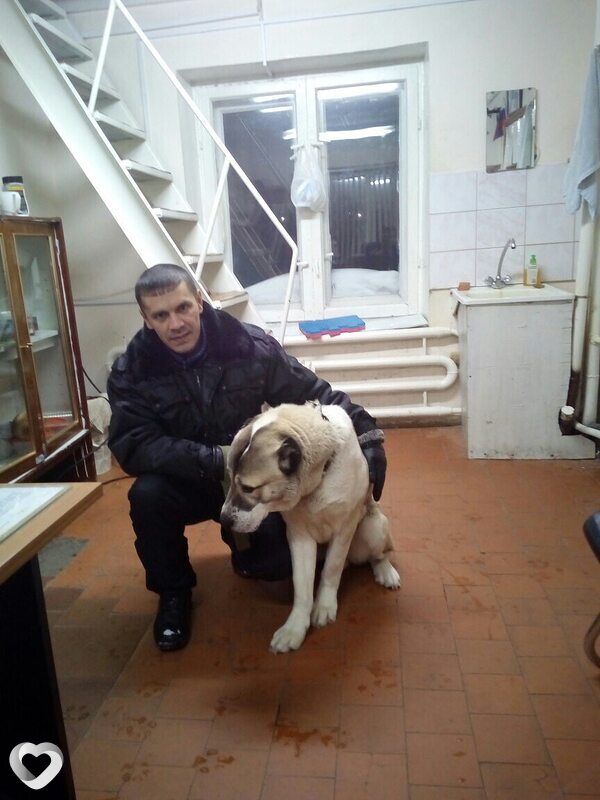 Александр, 44, Тобольске — анкета №1224666