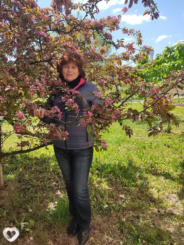 Olga, Винница
