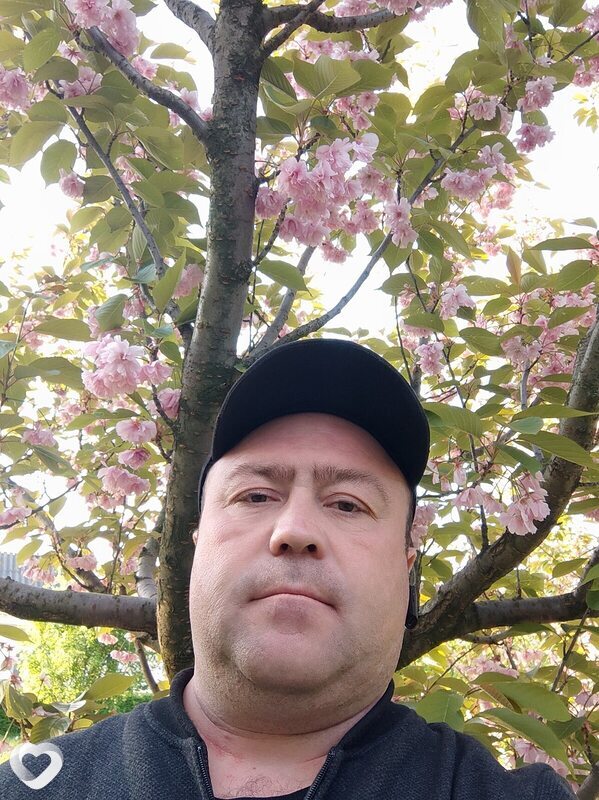 Свфар, 39, Лубнах — анкета №1231484