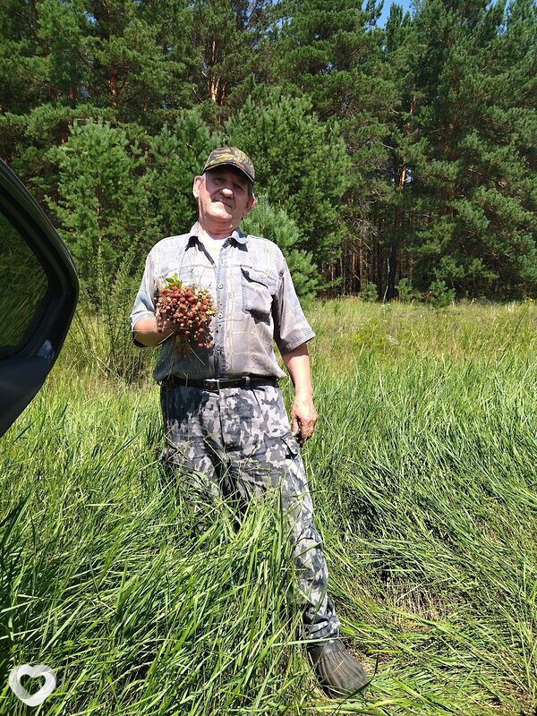 Анатолий, 69, Черногорске — анкета №1232651
