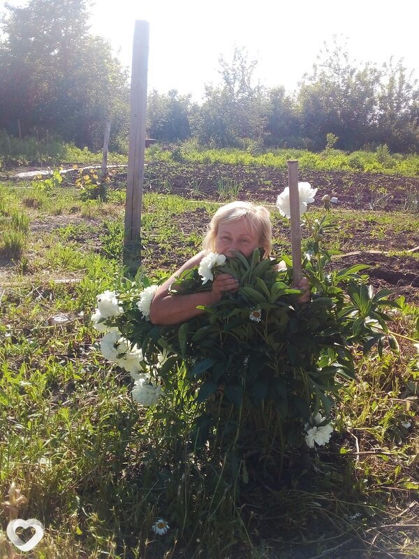 Светлана, 52, Нижнем Новгороде — анкета №1233325