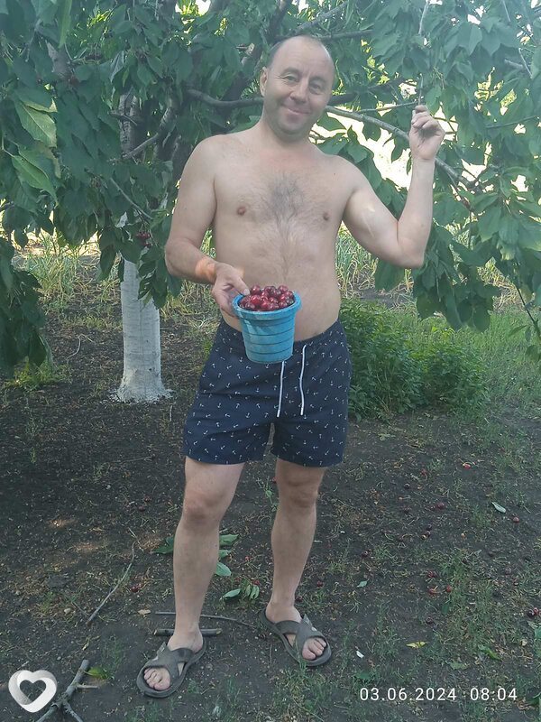 Денис, Барвенково