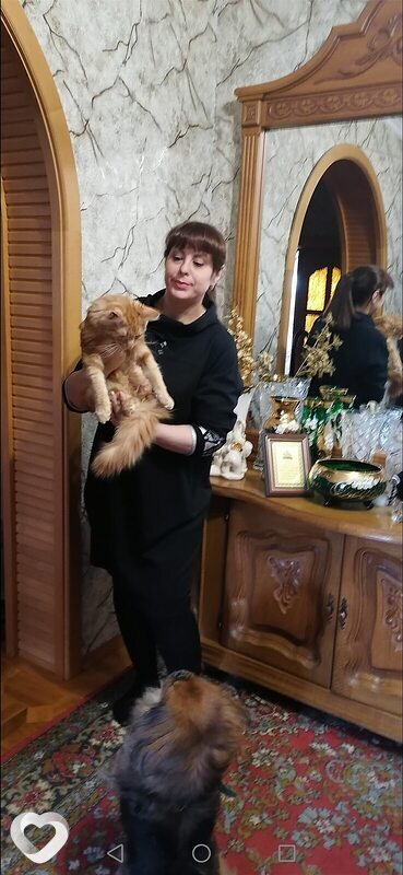 Кристина, 45, Волгодонске — анкета №1236353