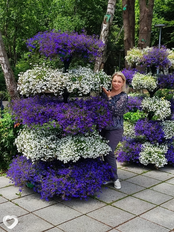 Елена, 52, Москве — анкета №1239467