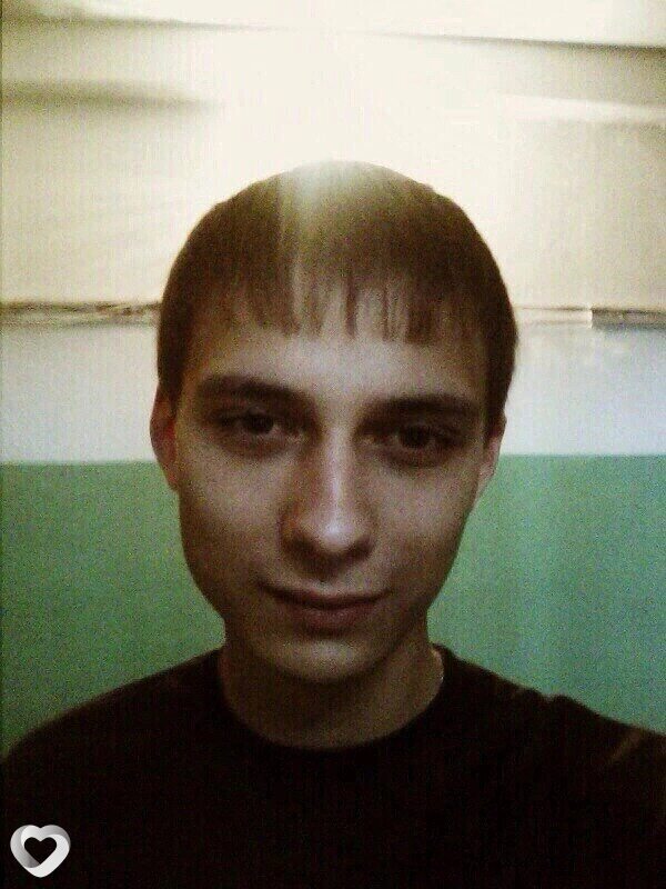 Миша, Каргополь