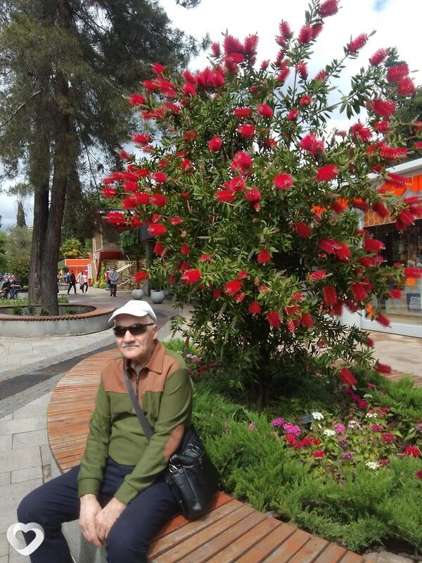 Николай, 69, Сочи — анкета №1250554