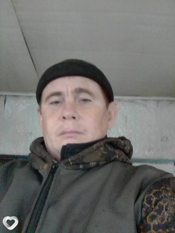 Владимир, Оса