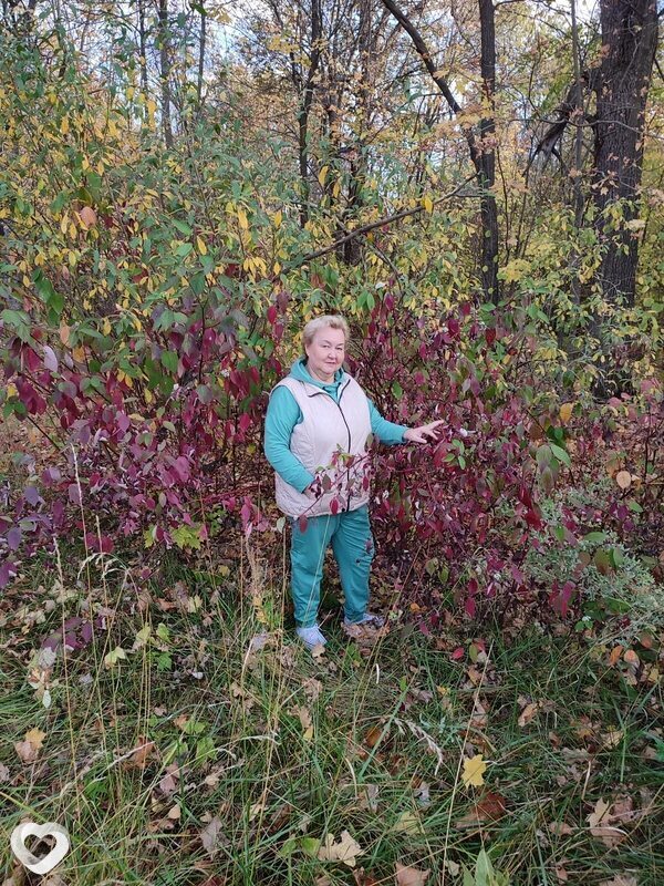 Татьяна, 65, Казани — анкета №1254929