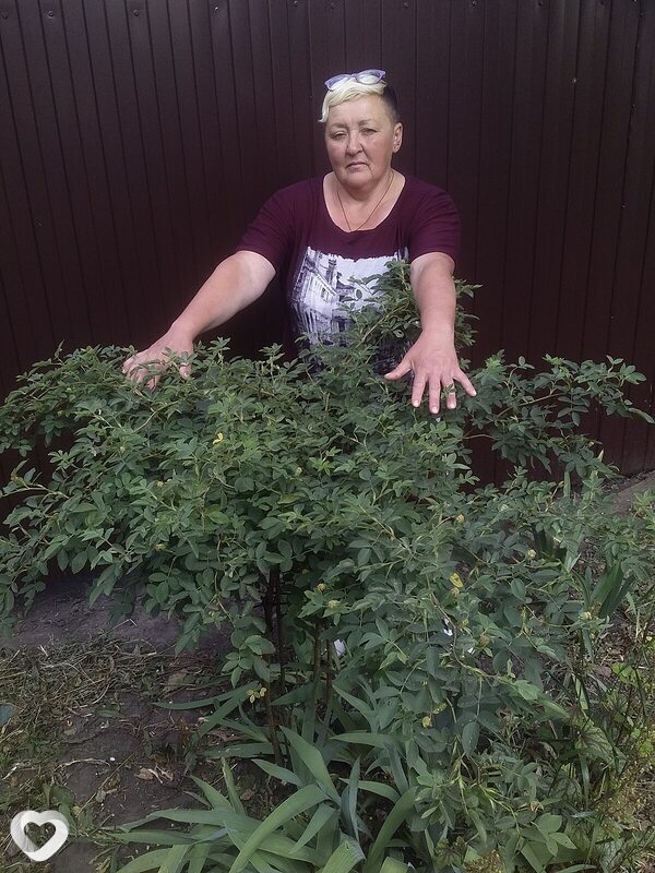 Наташа, 53, Курске — анкета №1258110