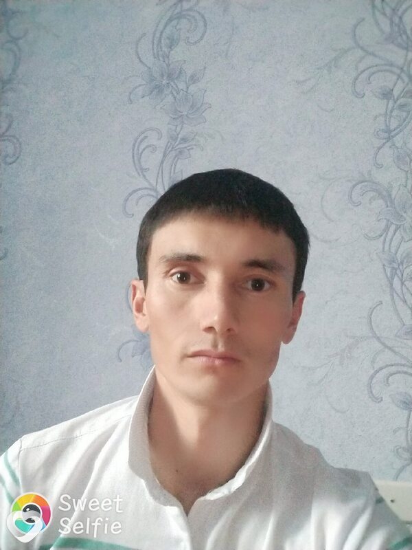 Фазик, Карши