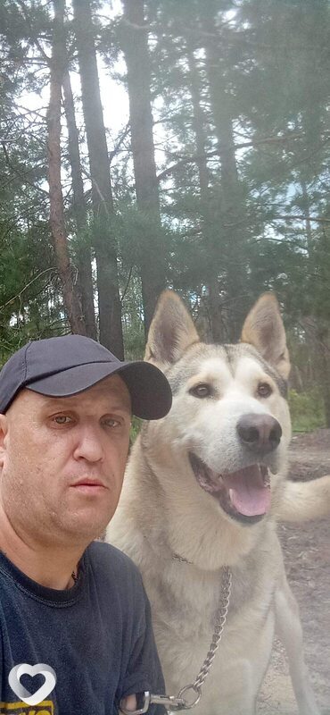 Михаил, 42, Ульяновске — анкета №1261568