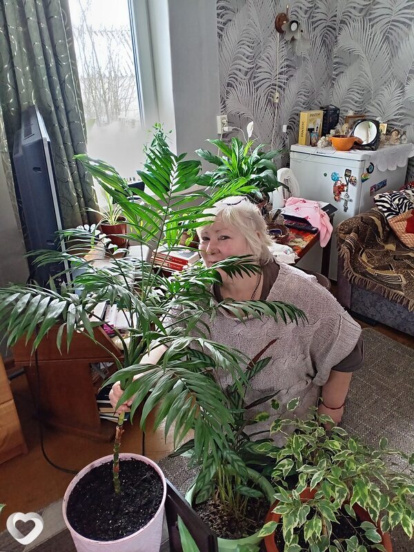 Нелли, Кричев