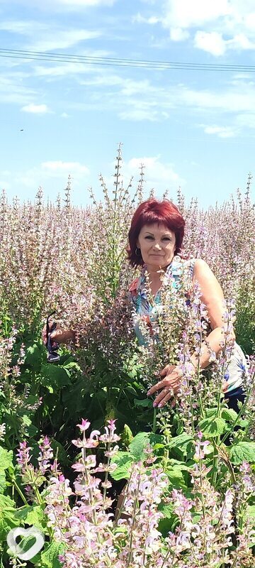 Алла, 60, Симферополе — анкета №1270361