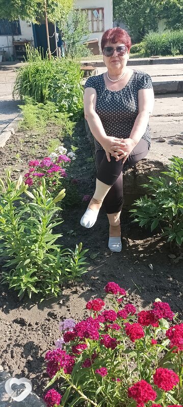 Елена, Никополь