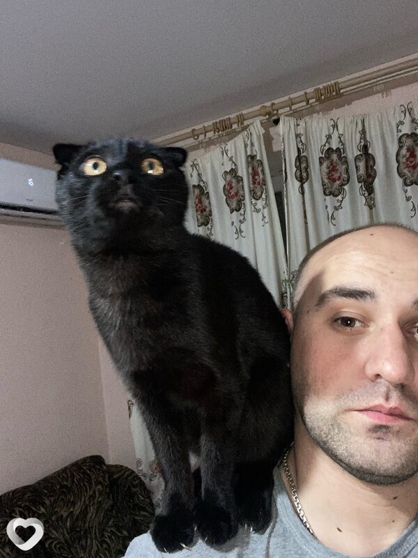 Михаил, 33, Челябинске — анкета №1275232