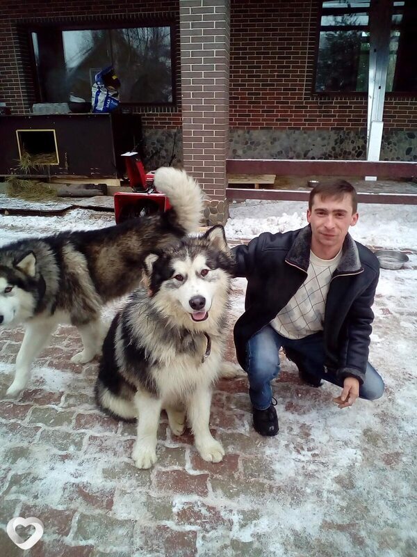 Михаил, 41, Москве — анкета №1276497