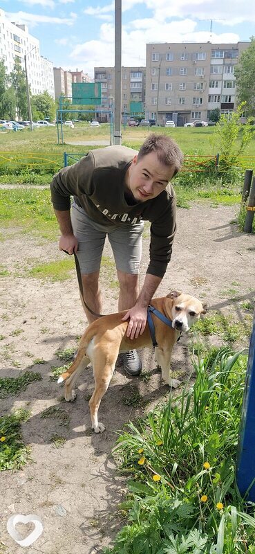 Денис, 29, Челябинске — анкета №1277208