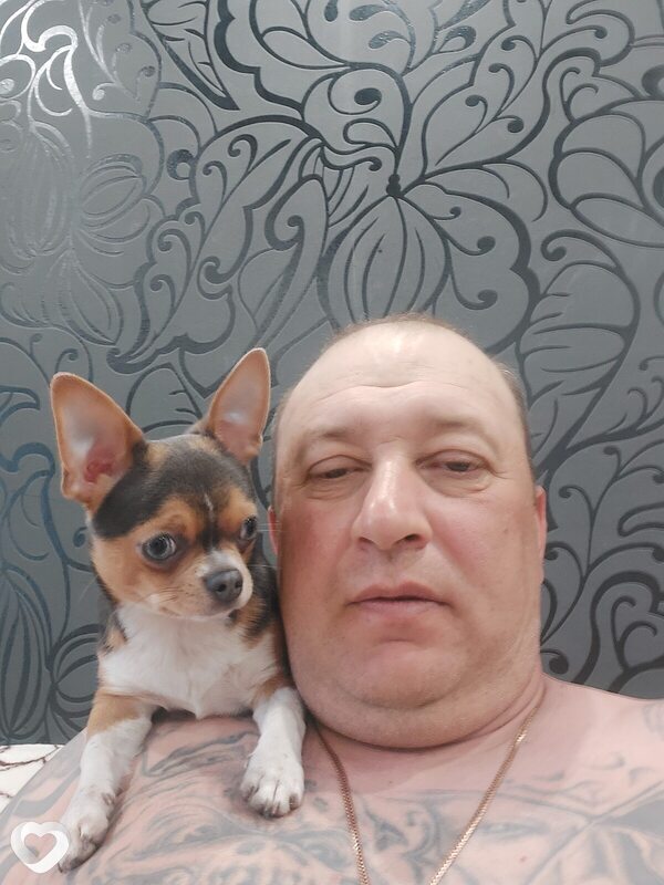 Миша, 45, Ярославле — анкета №1282289