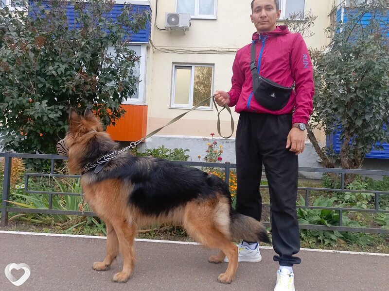 Артур, 39, Салавате — анкета №1288201