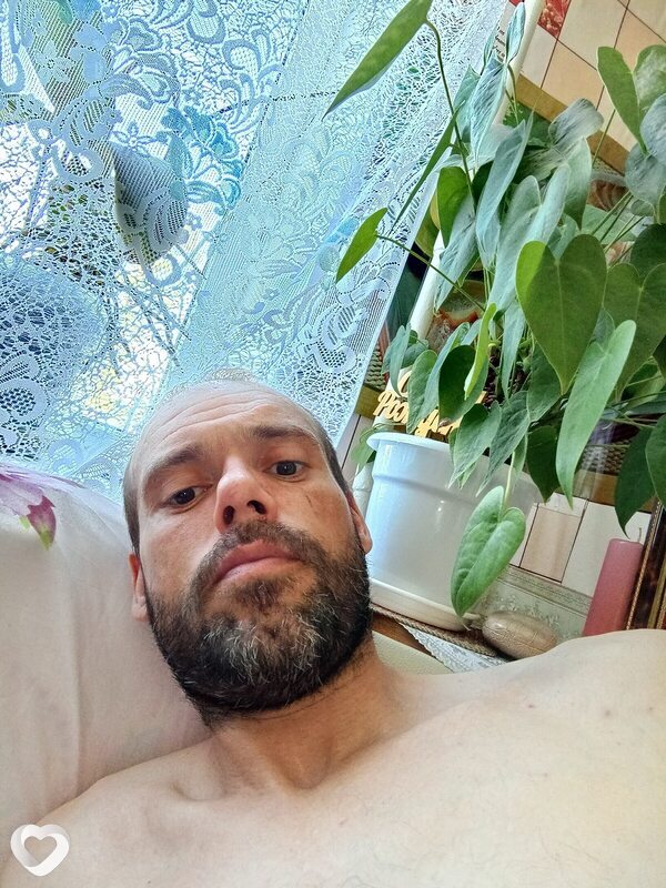 Александр, Выборг