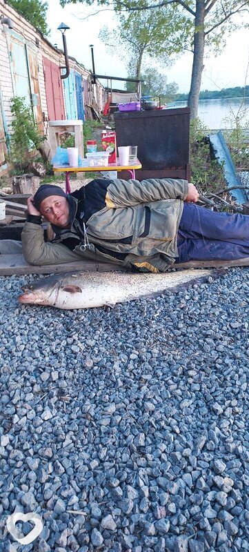 Дима, 38, Кириши — анкета №1294839