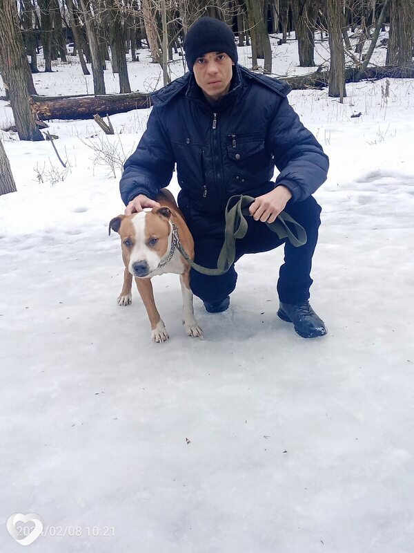 Димитрий, 36, Кингисеппе — анкета №1295558
