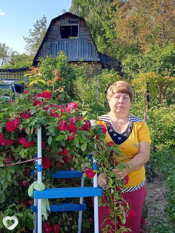 Лариса, 62, Костроме — анкета №1296161