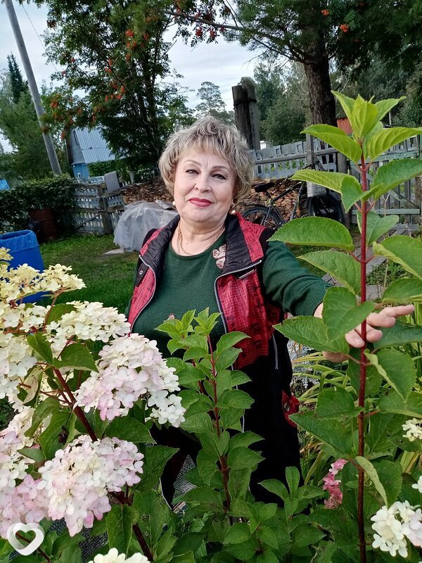 Надежда, 69, Томске — анкета №1297426