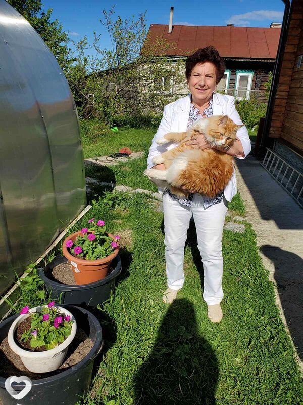 Татьяна, 69, Вязниках — анкета №1300820