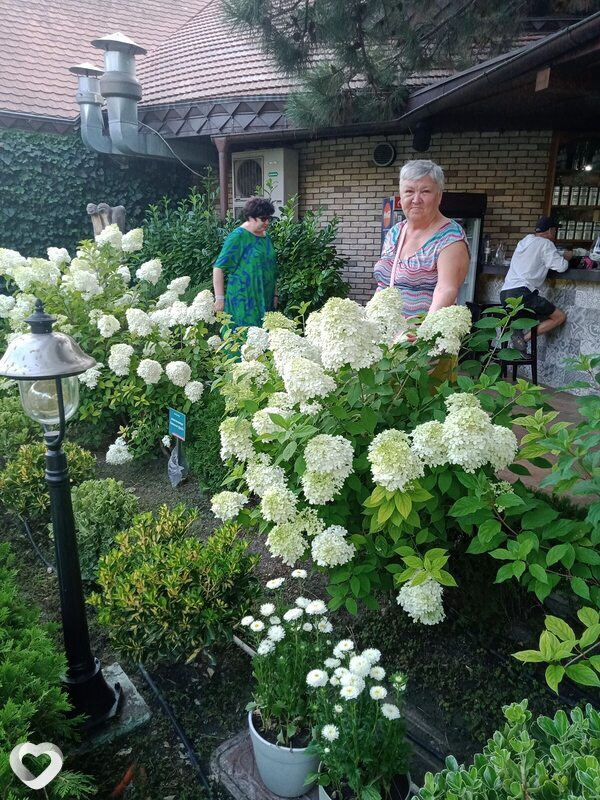 Елена, 63, Анапе — анкета №1305807