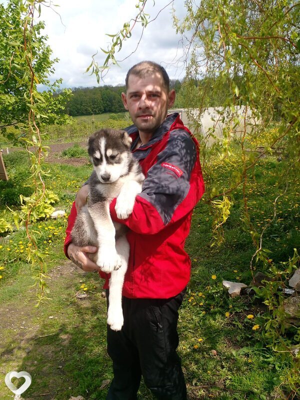 Сергей, 39, Орёл — анкета №1317050