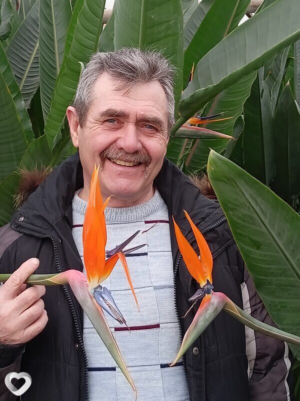 Василий, 65, Волжском — анкета №1317231