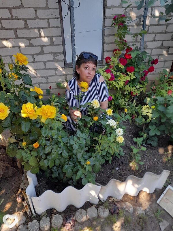 Елена, 49, Волгограде — анкета №1318445