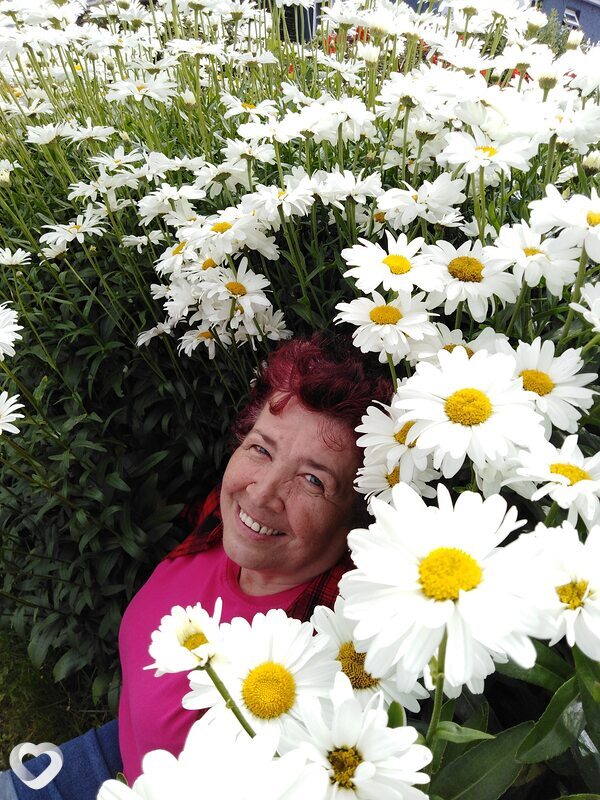 Lika, 66, Киеве — анкета №1324969
