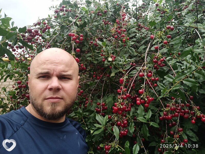 Дмитрий, 39, Оренбурге — анкета №1327605