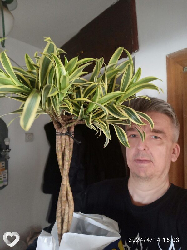 Сергей, 51, Ростове-на-Дону — анкета №1328295
